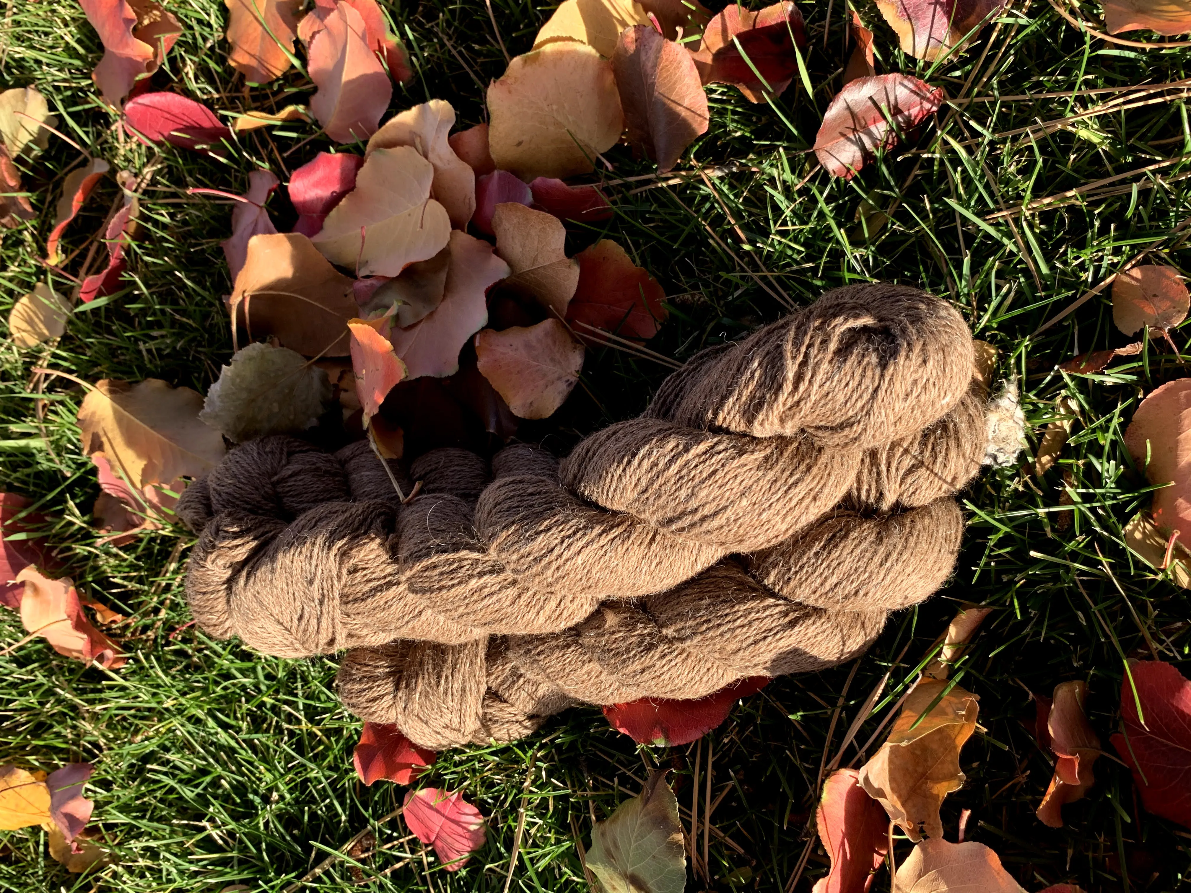 CVM/Alpaca Blend - Sport weight