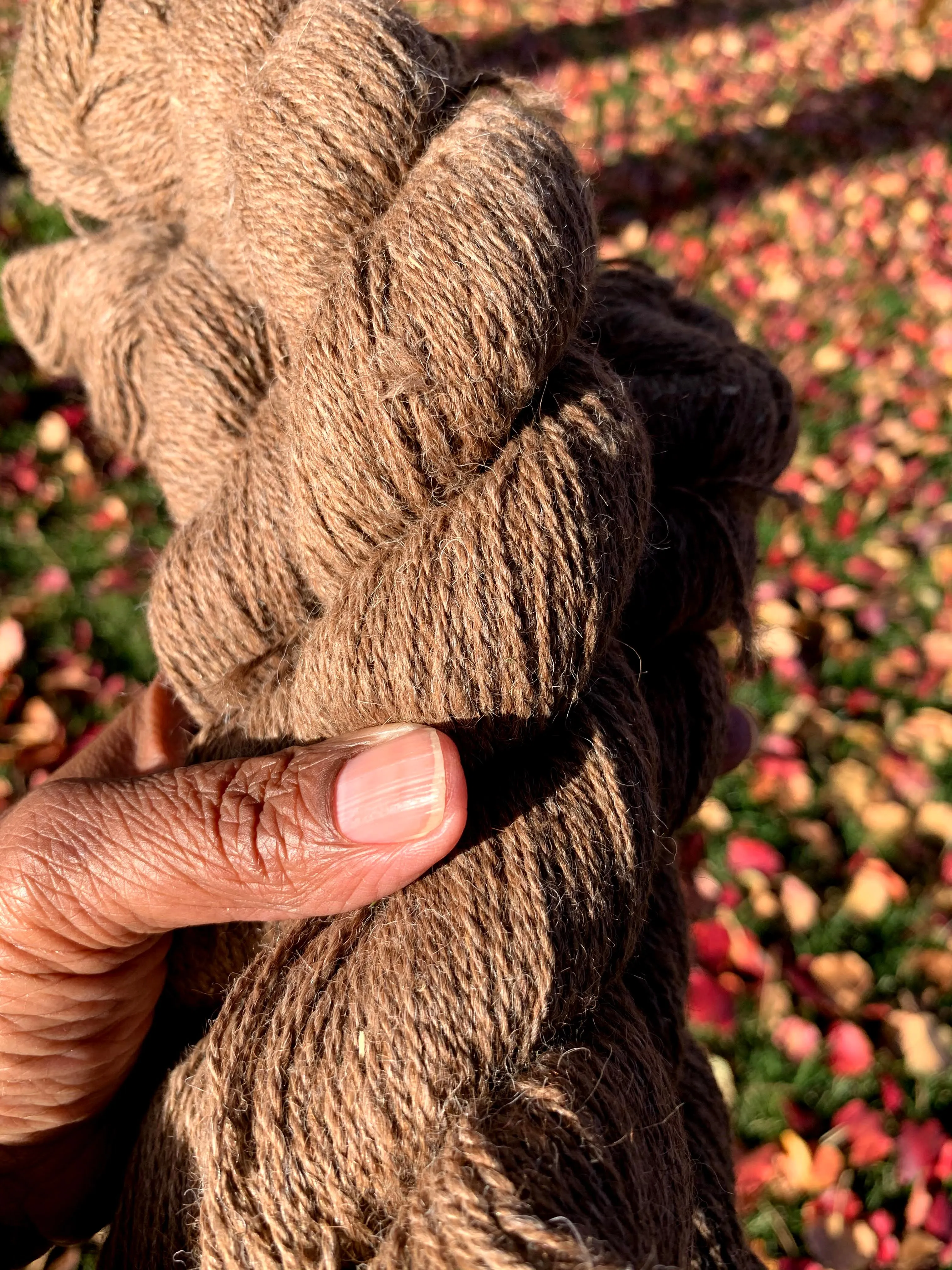 CVM/Alpaca Blend - Sport weight